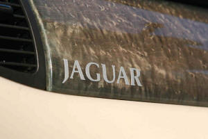 HighgateHouse Decals for Jaguar